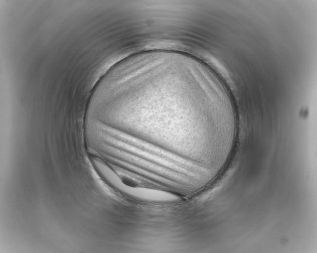 X0000093111041200710241238