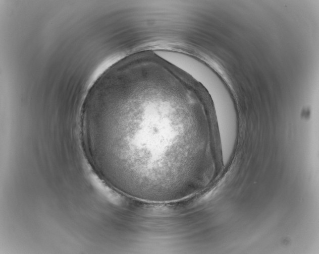 X0000093111042200710241238