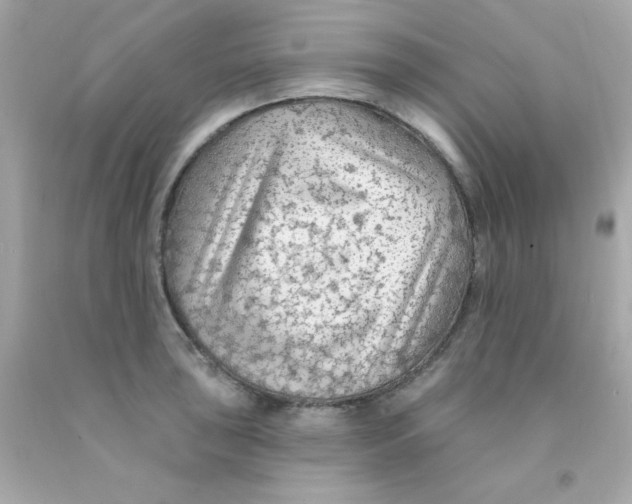 X0000093111043200710241238