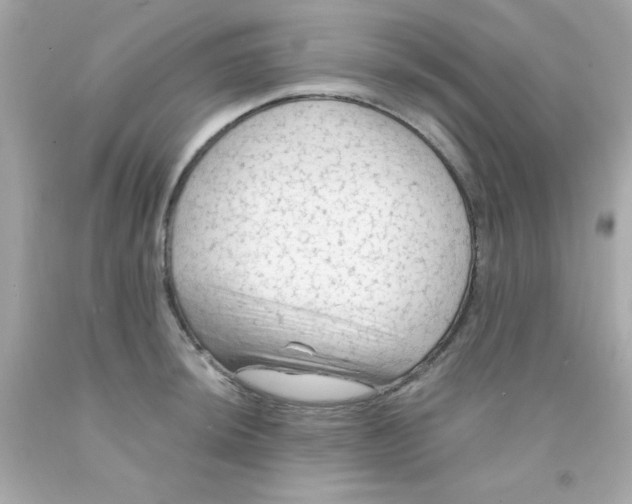 X0000093111044200710241238