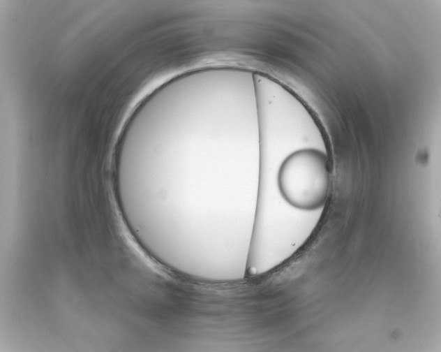 X0000093111045200710241238