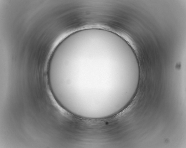 X0000093111046200710241238