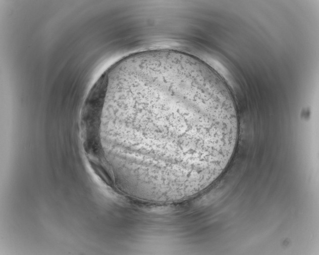 X0000093111047200710241238