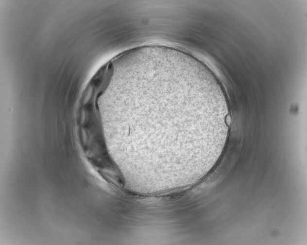 X0000093111048200710241238