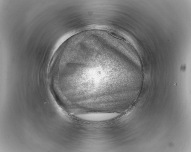 X0000093111050200710241238