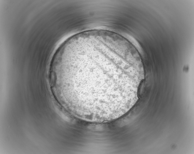 X0000093111051200710241238