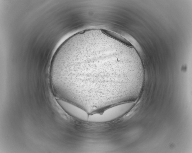 X0000093111052200710241238