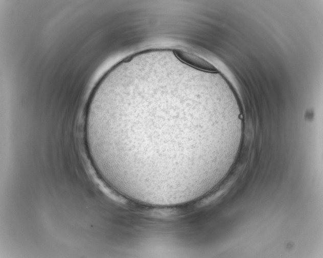 X0000093111053200710241238