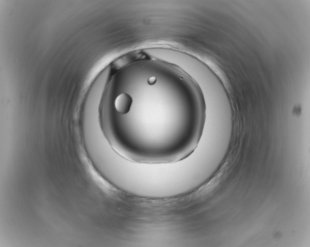 X0000093111054200710241238