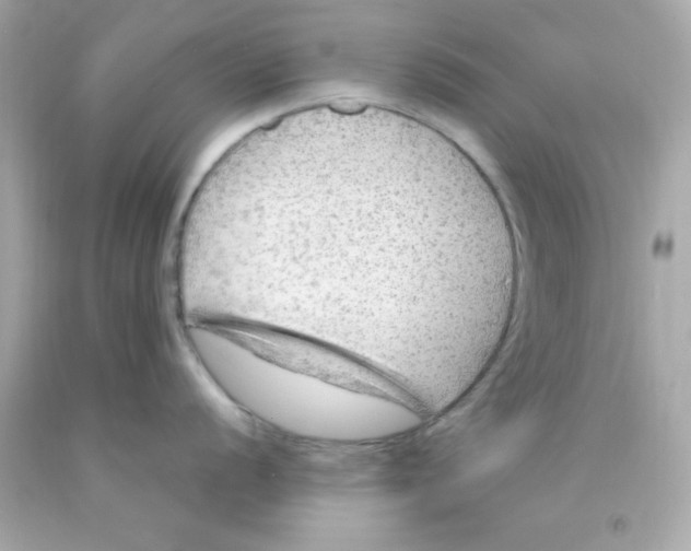 X0000093111056200710241238