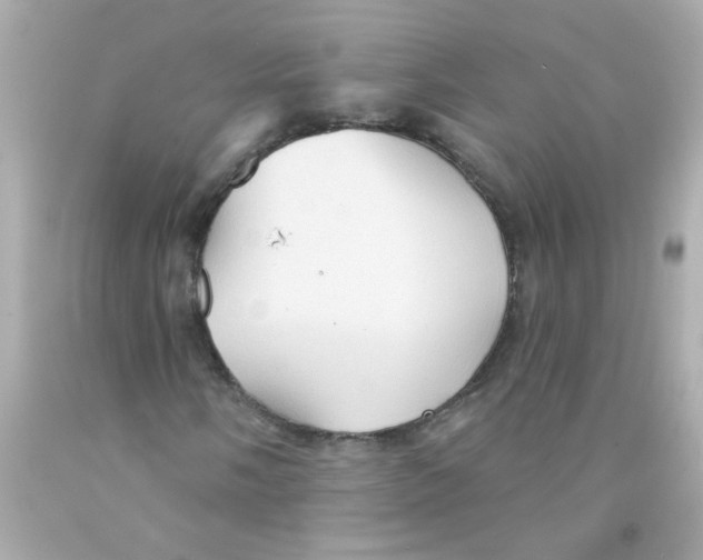 X0000093111058200710241237