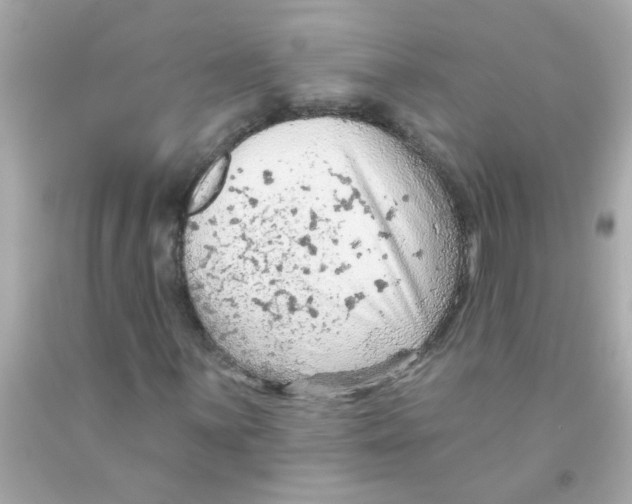 X0000093111059200710241237