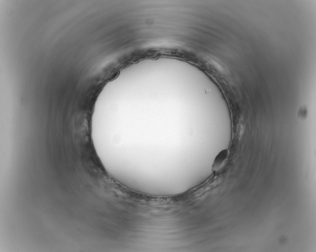 X0000093111062200710241237