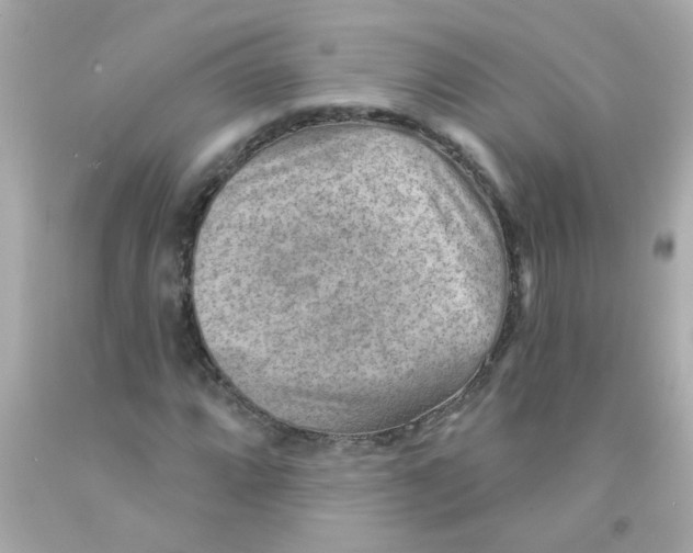 X0000093111064200710241237