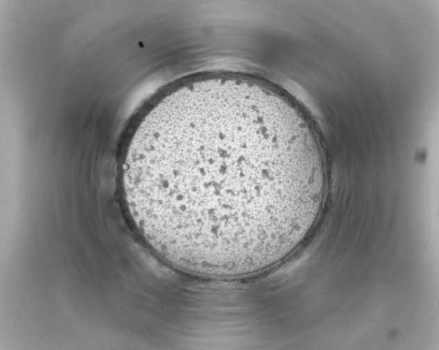 X0000093111067200710241237