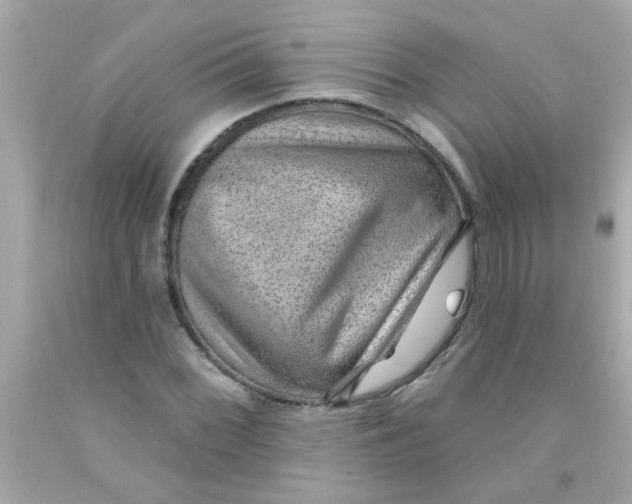 X0000093111068200710241237