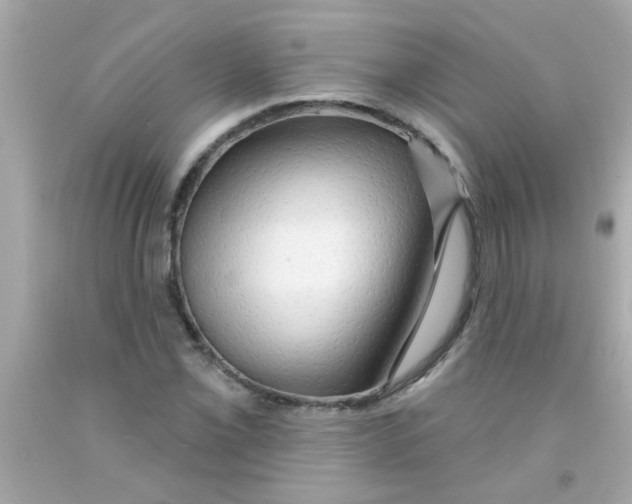 X0000093111069200710241237