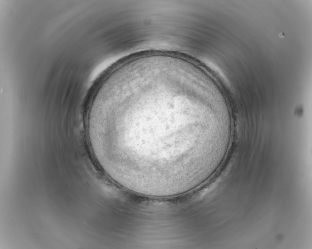 X0000093111070200710241237