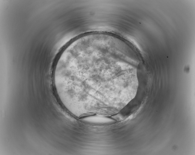 X0000093111071200710241237