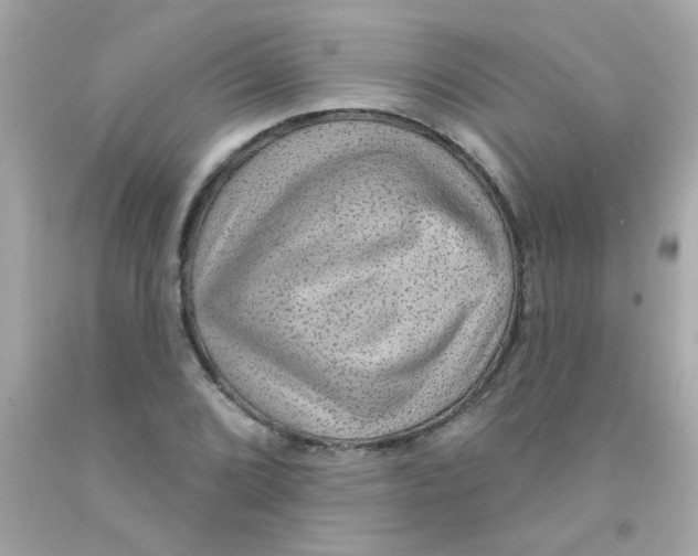 X0000093111072200710241237