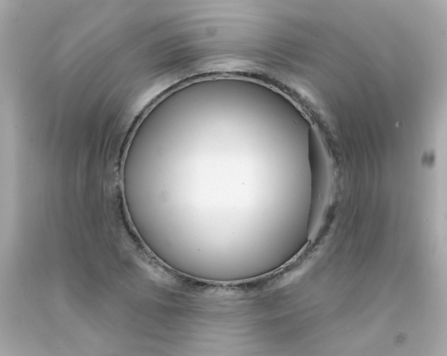 X0000093111073200710241237