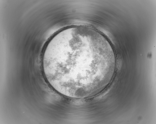 X0000093111074200710241237