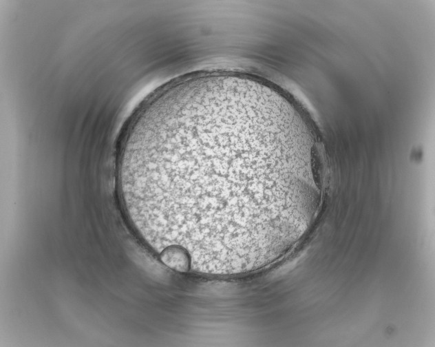 X0000093111075200710241237