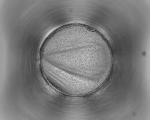 X0000093111076200710241237