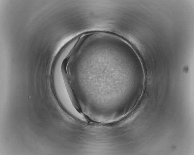 X0000093111077200710241237