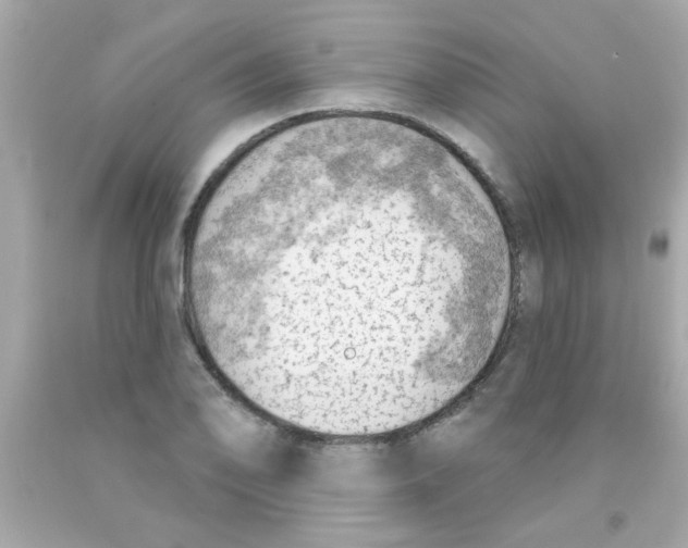 X0000093111078200710241237