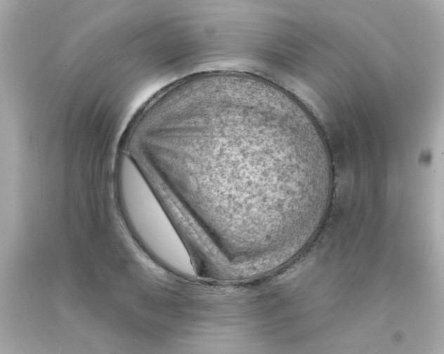 X0000093111079200710241237