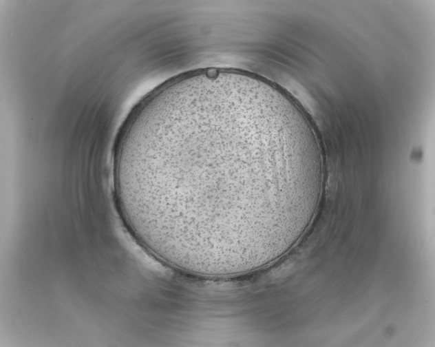 X0000093111080200710241237