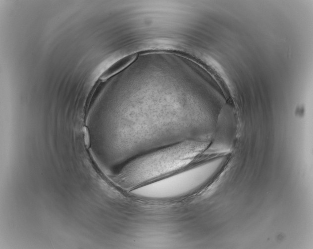 X0000093111081200710241237