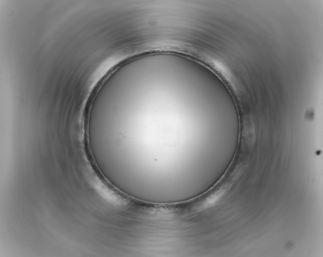 X0000093111082200710241237