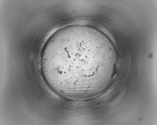 X0000093111083200710241237