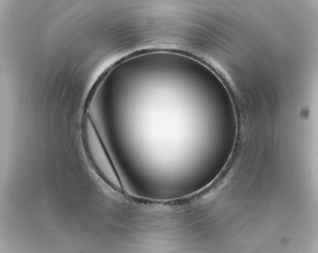 X0000093111085200710241237