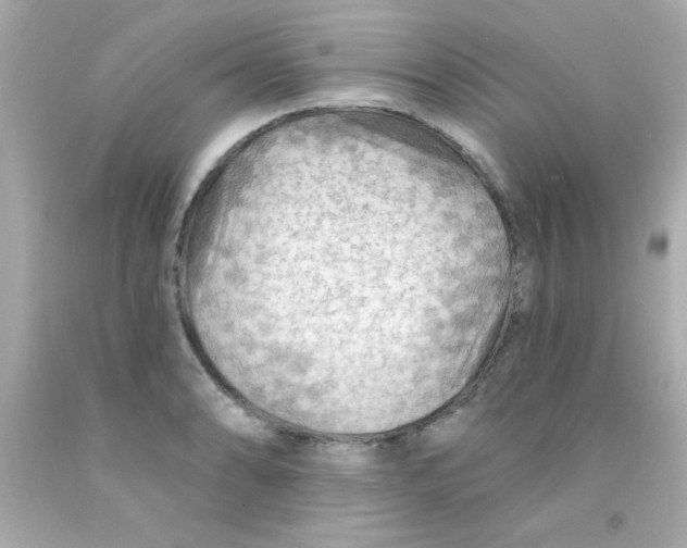 X0000093111086200710241237