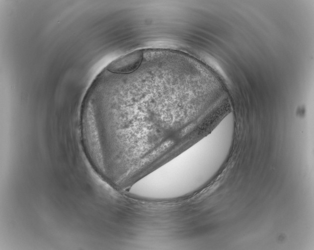 X0000093111087200710241237