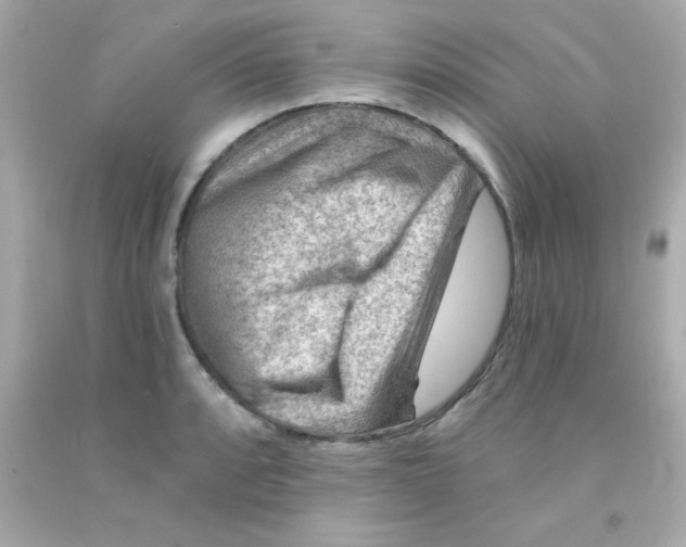 X0000093111088200710241237