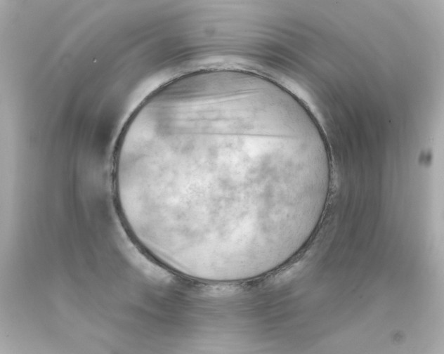 X0000093111090200710241237