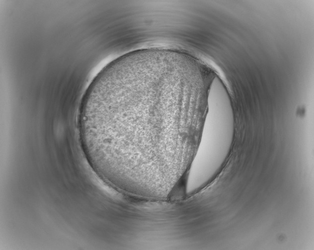 X0000093111091200710241237