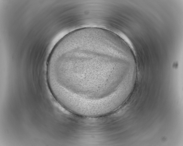 X0000093111096200710241237