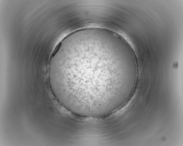 X0000093111097200710241237