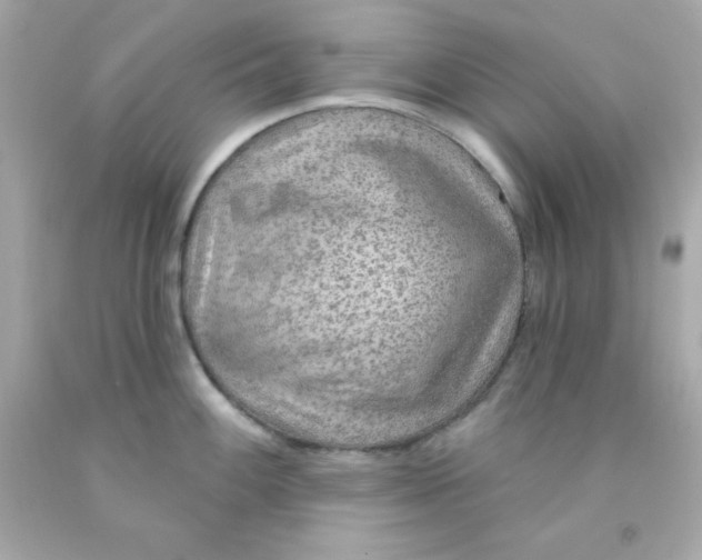 X0000093111100200710241237