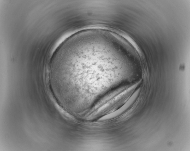 X0000093111101200710241237