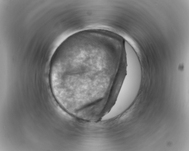 X0000093111102200710241237