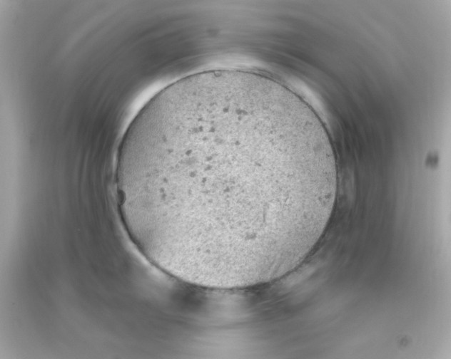 X0000093111103200710241237