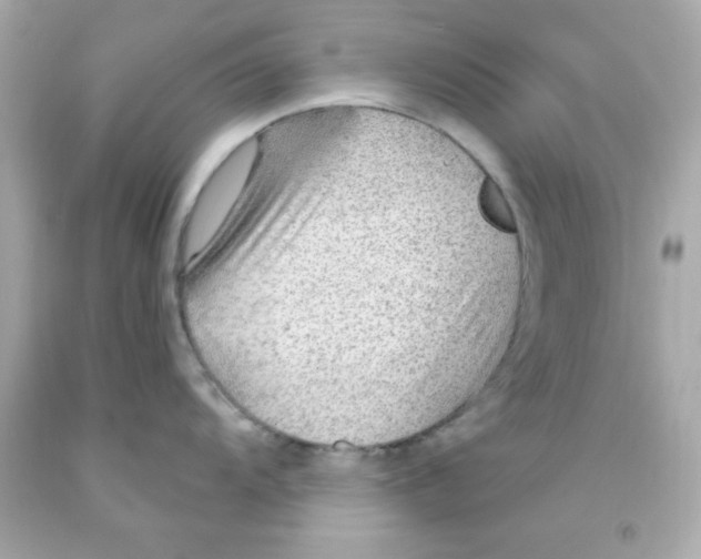 X0000093111104200710241237