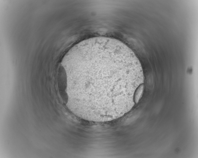 X0000093111105200710241236