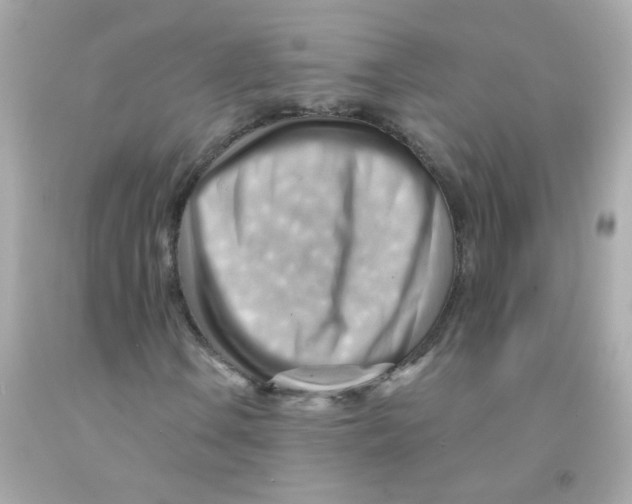 X0000093111106200710241236